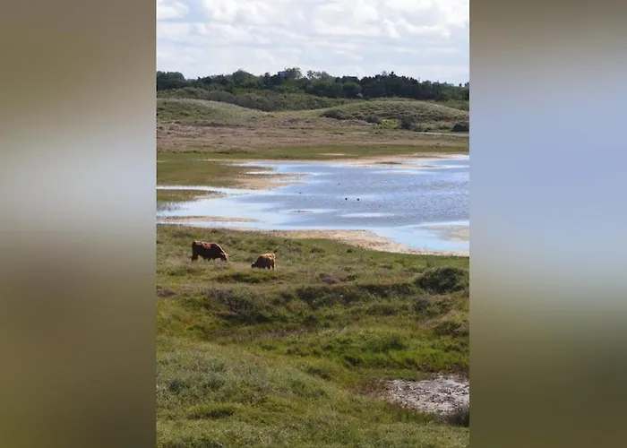 Bon Diaz At Sea * Julianadorp