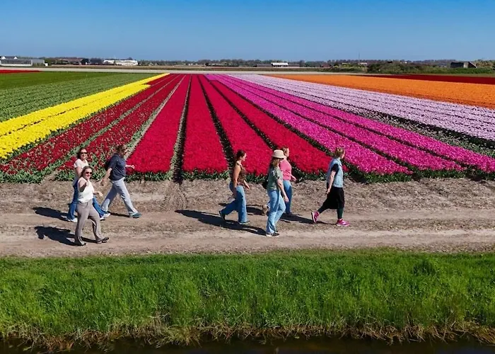 Bon Diaz At Sea Julianadorp