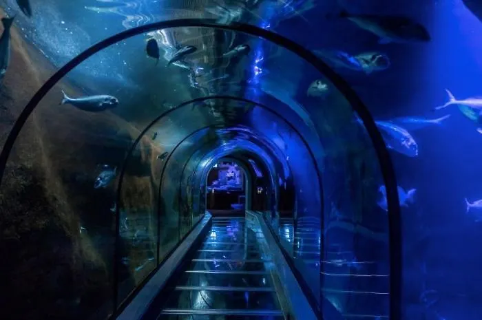 Appartement Bon Diaz At Sea *