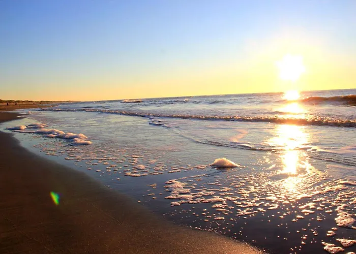 Bon Diaz At Sea * Julianadorp